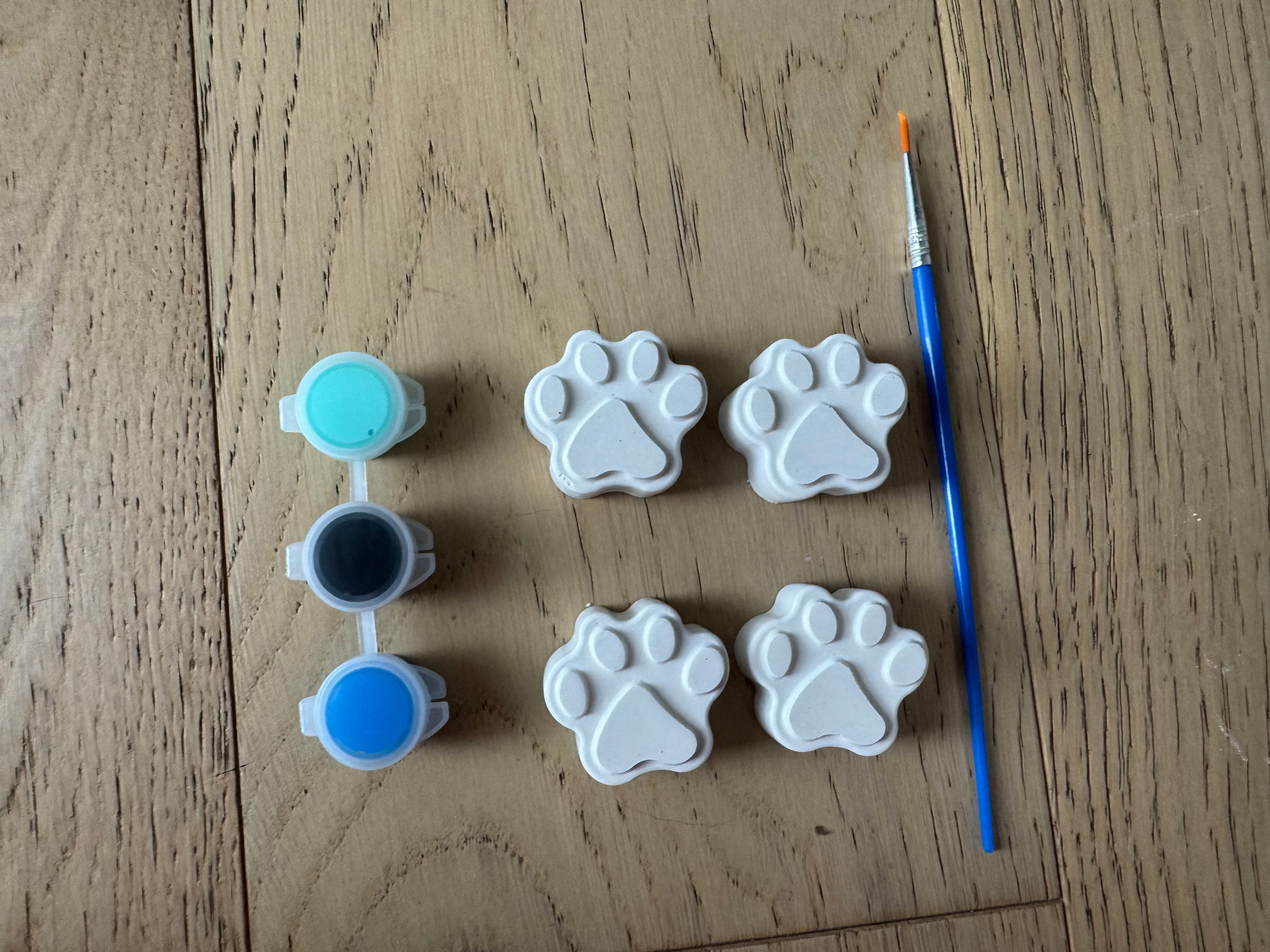 Paw Print DIY Paint Kit (4PK)